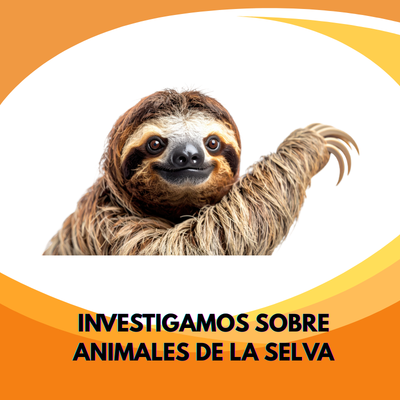 ANIMALES DE LA SELVA: EL PEREZOSO - 4 AÑOS