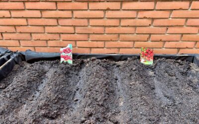 Comprendiendo la naturaleza